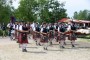 Thumbs/tn_Keltfest 2018 231.jpg